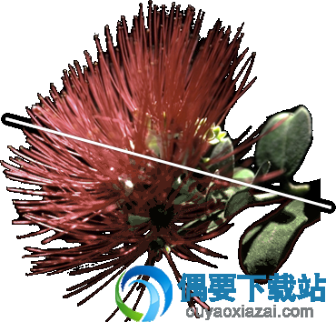 ImageAlpha怎么用