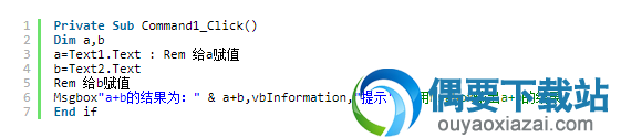 VB注释方式