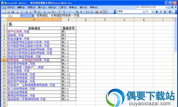 财务报表模板截图