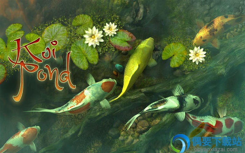 3D锦鲤鱼动态屏保_Koi Fish 3D Screensaver