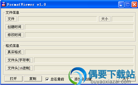 打开FormatViewer软件