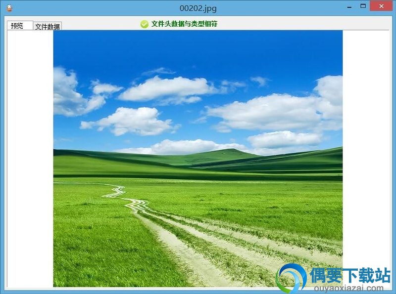 文件预览预览效果