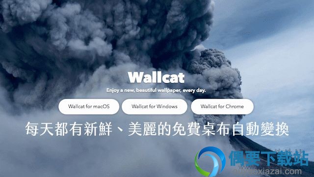 Wallcat壁纸软件下载