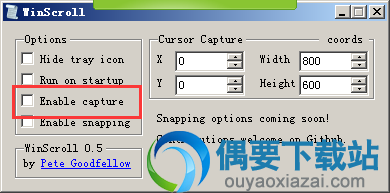 选择左侧的Enable capture选项