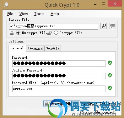 点击Encrypt File