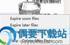 Delete After Days下载_定时删除文件工具