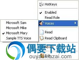 Screen Reader 1.3.2官方免费版_屏幕阅读器