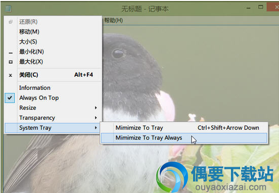 SmartSystemMenu使用方法