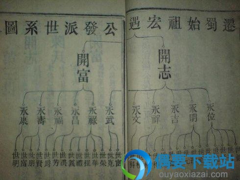 宝塔式图谱