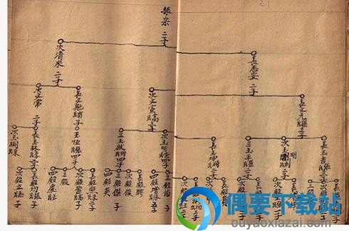 树系图谱