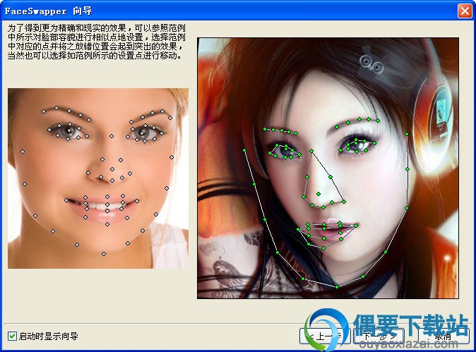 FaceSwapper软件向导界面截图