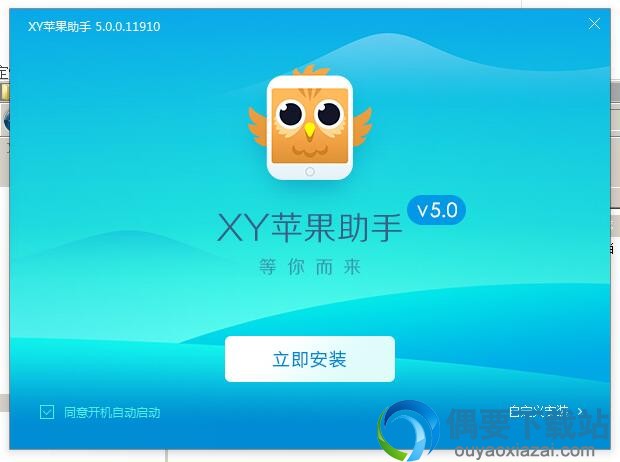 点击自定义安装