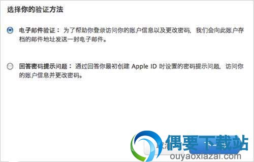 您把会看到两个选项：电子邮件验证或回答安全提示问题