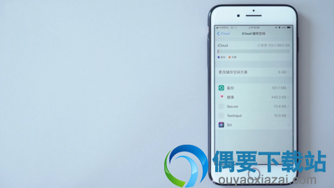 如果想要重新备份，点击“iCloud”界面的“管理储存空间”