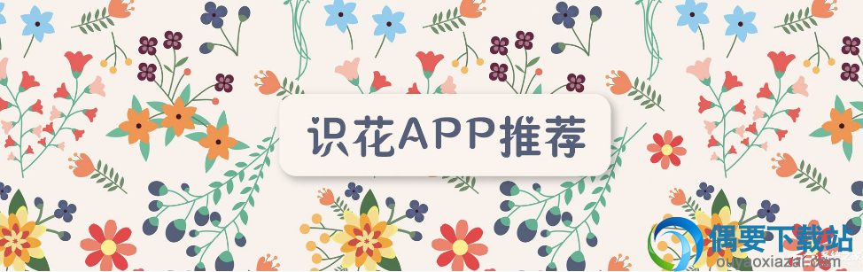 识花软件手机app有哪些比较好用