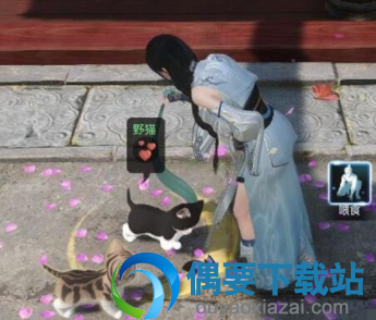《逆水寒》撸猫要多久才可以带走？ 小猫好感度提升方法说明