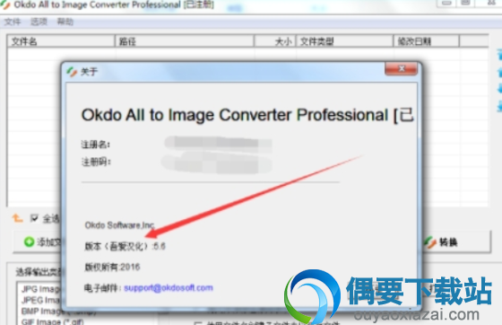 Okdo All to Image Converter Professional