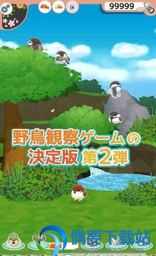 观察小鸟2手游下载