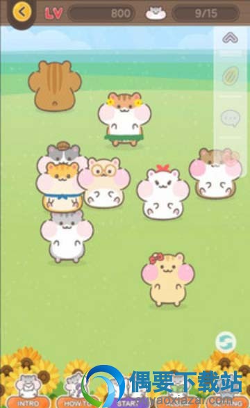 仓鼠城手游下载