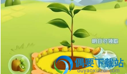 拼多多果园怎么才可以删除好友