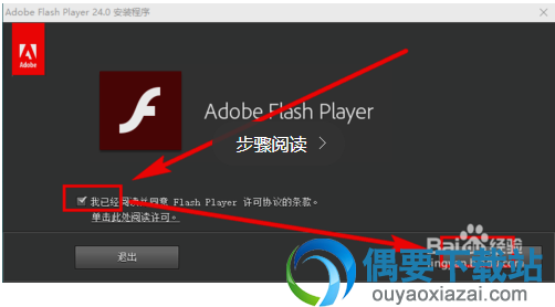 Adobe Flash Player