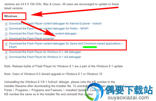 Adobe Flash Player