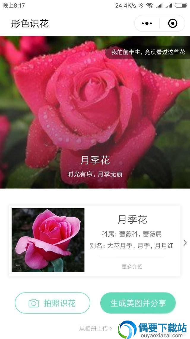 微信实用的几个小程序，快来围观添加！