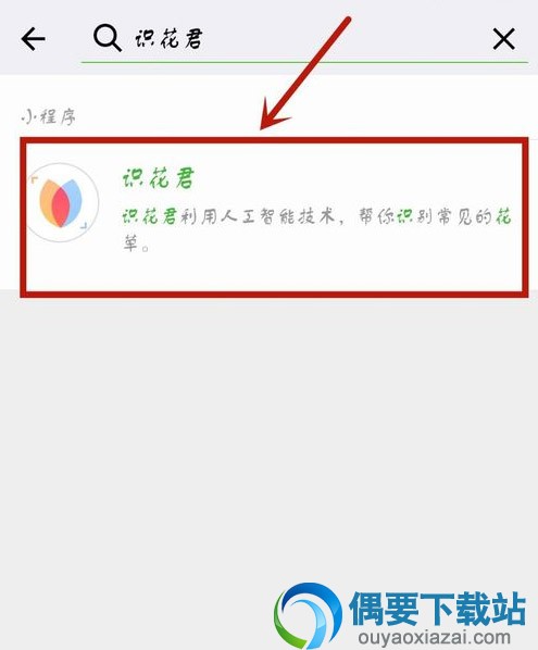微信怎么识别植物花朵名称