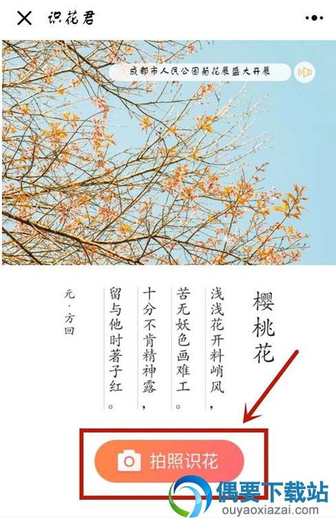 微信怎么识别植物花朵名称