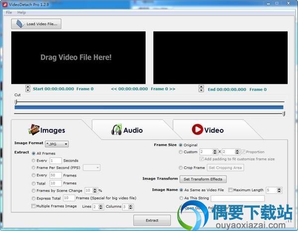 VideoDetach Pro