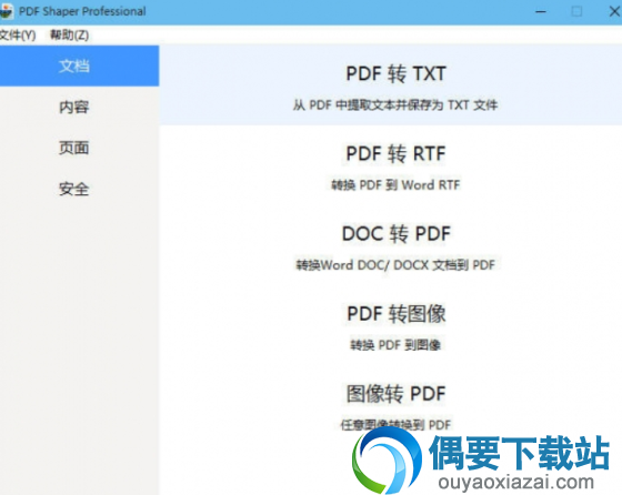 PDF shaper professional