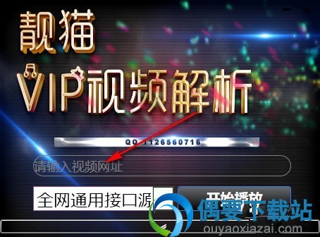 靓猫VIP视频解析
