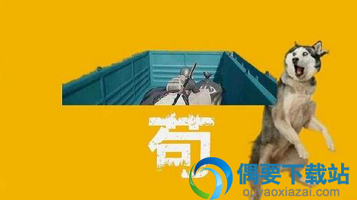 20181009135218_4593.jpg