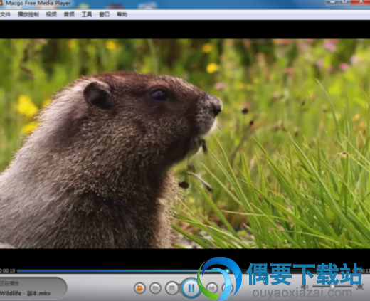 Macgo Free Media Player