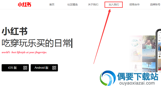 电脑上怎么登录小红书？操作步骤讲解