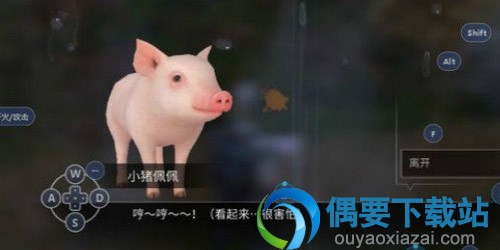明日之后什么条件才能养猪 购买小猪的商人在哪？