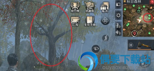 明日之后秋日森林