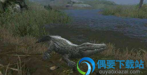 明日之后鳄鱼在哪