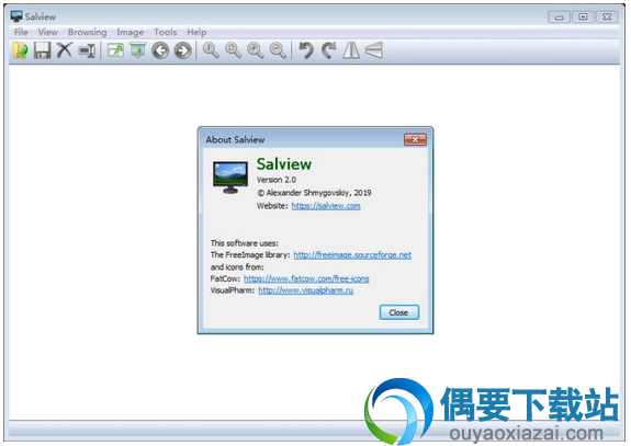 Salview图像查看器