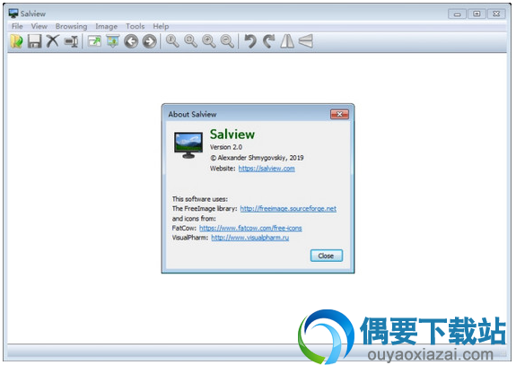 Salview图像查看器软件工具下载