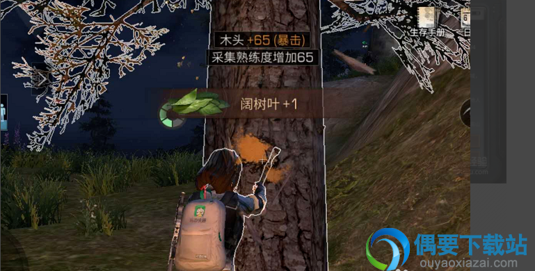 明日之后阔树叶要怎么获得 获取方法介绍
