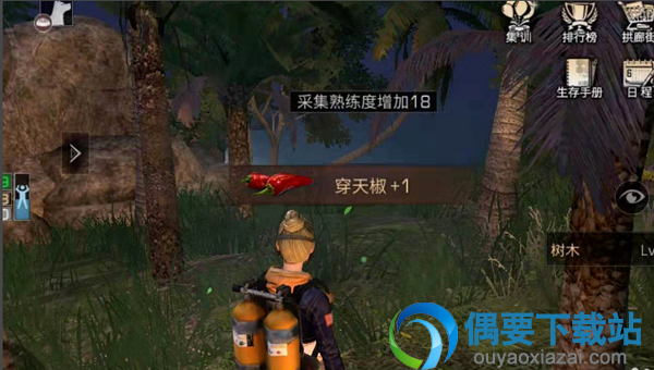 明日之后穿天椒怎么获得 穿天椒有什么用