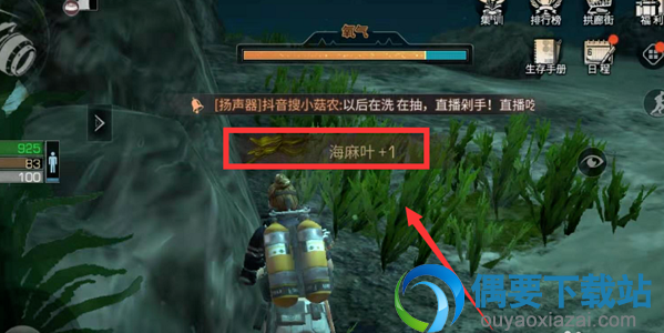 明日之后海麻叶在哪里 怎么获得海麻叶