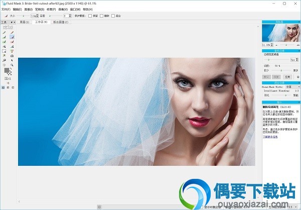 Vertus Fluid Mask汉化版主界面截图